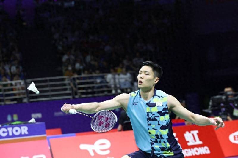 法国羽毛球队绝地反击中国羽毛球队，马琳制霸全场的简单介绍