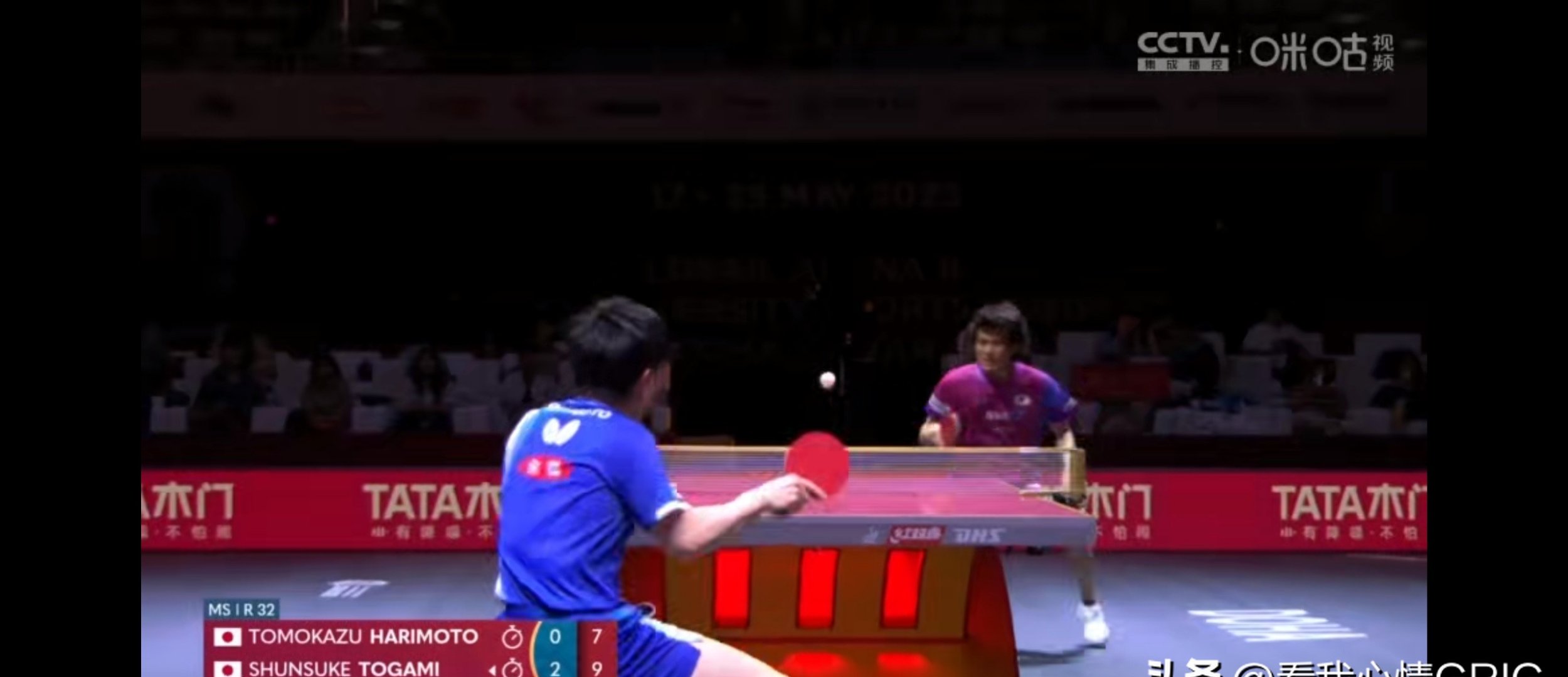 波兰乒乓球队翻盘德国乒乓球队，张本智和关键制胜