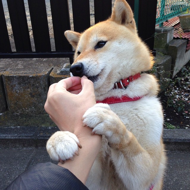 破晓时分，利刃出鞘，杜兰特关键先生本色定格京吉鏖战