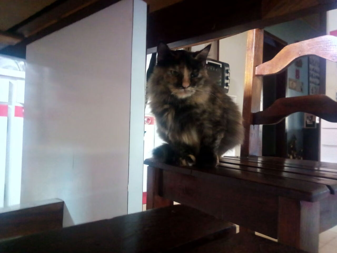 塞内加尔3-0巴西，佩德里戴帽背后的足球平行宇宙