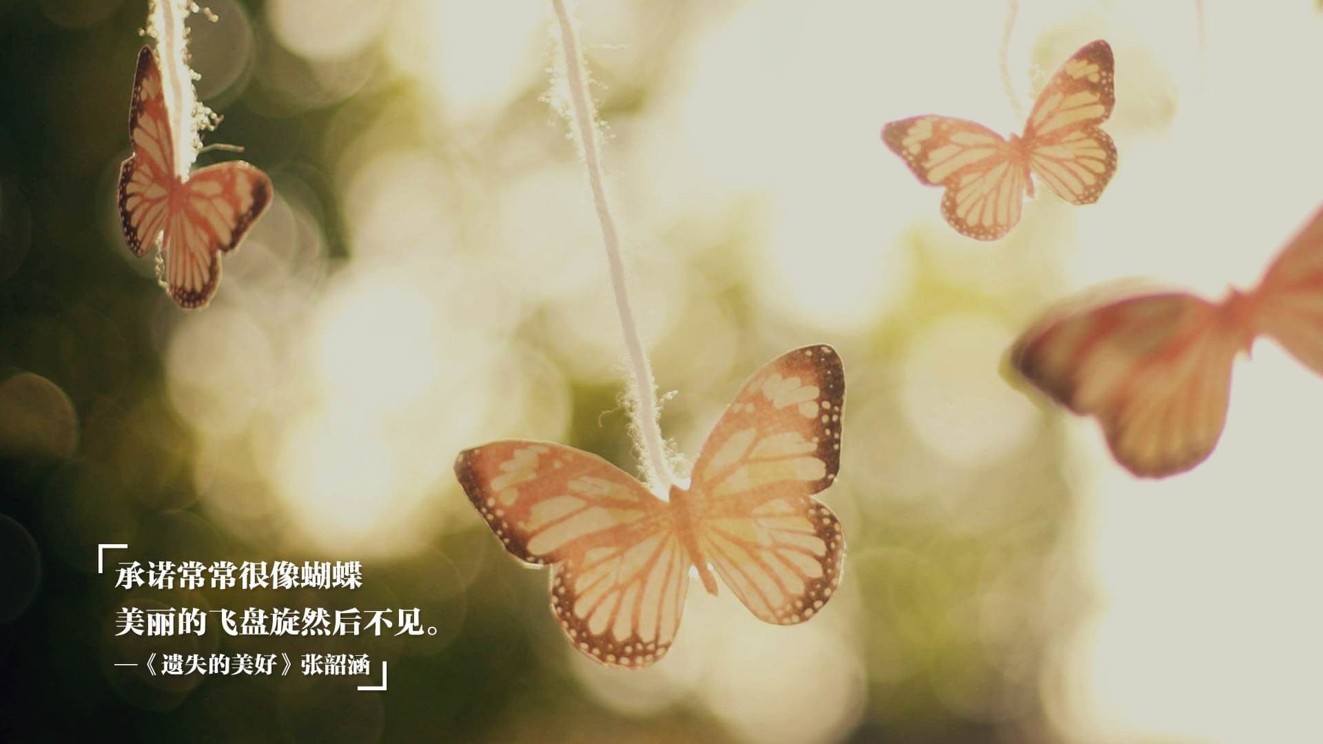 冰火交加,策略致胜—卡瓦哈尔雨夜加冕,F1年度冠军悬念终结