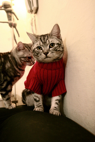 开云体育app-穿越界碑的射术，当克莱在平行宇宙同时点燃NBA与欧冠的战场