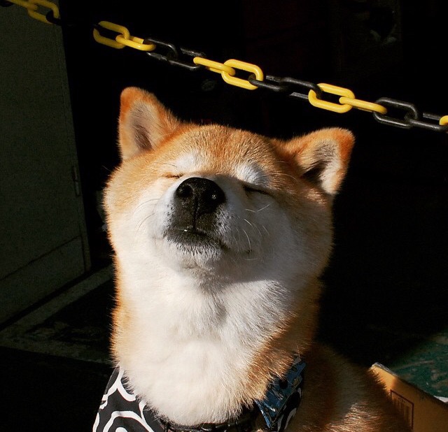 开云体育登录-燃情戈麦斯！铁血洪流席卷高原之鹰，苏格兰打出历史性压制一战