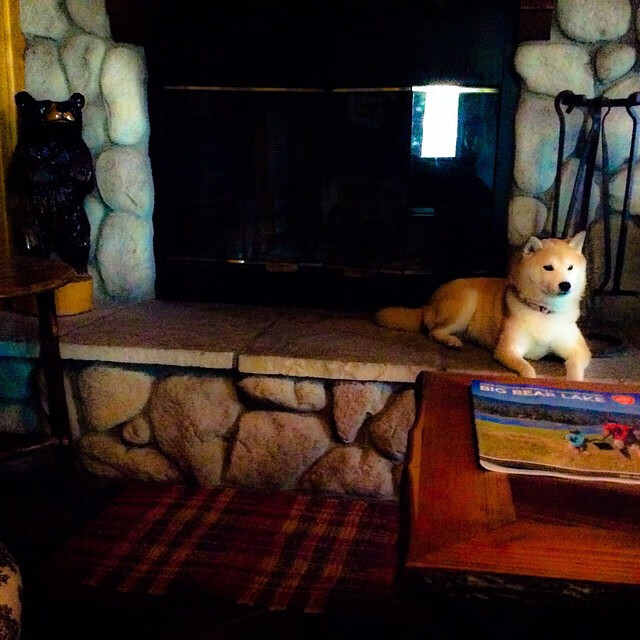 基因伊布爆发！比利亚雷亚尔黄色舰队巅峰对决胜出南非世界杯决赛