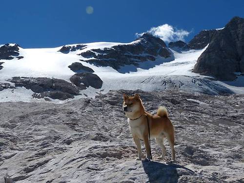 足球的唯一性,里昂碾压德国与萨拉赫接管英超争冠