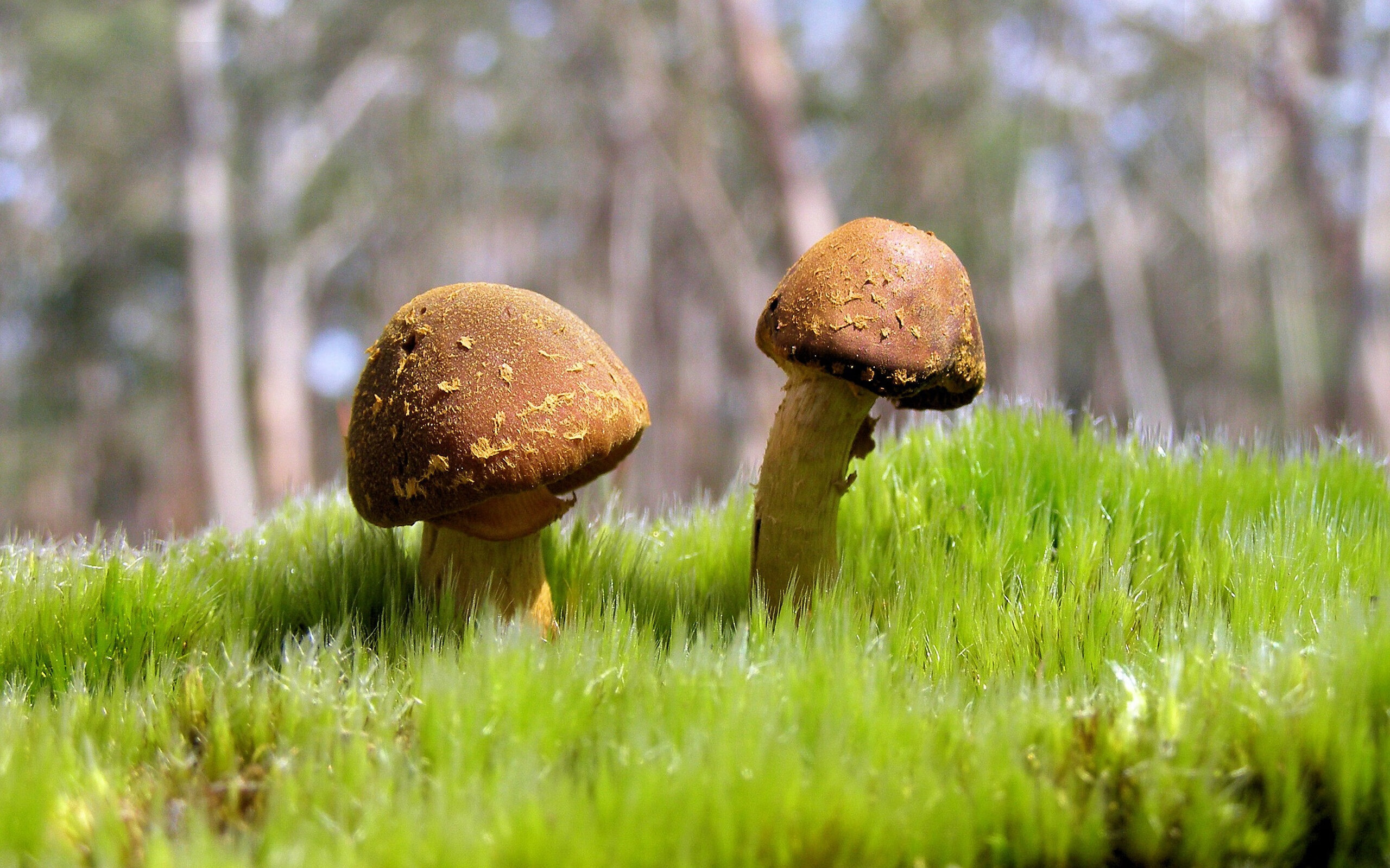 开云体育中国-跨界之王！广东队表演赛爆冷斩落热火，锡安末节15分变身关键先生