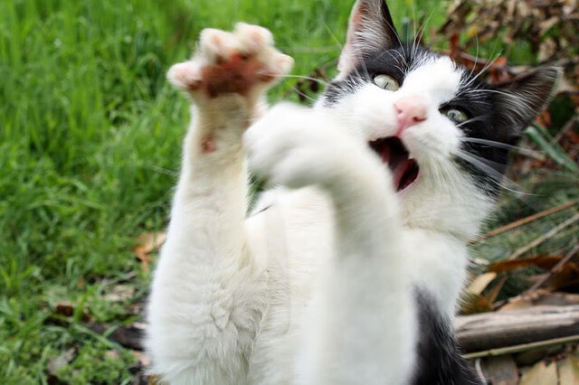 开云体育中国-当西甲金靴闪耀东决之夜，贝林厄姆的跨界里程碑